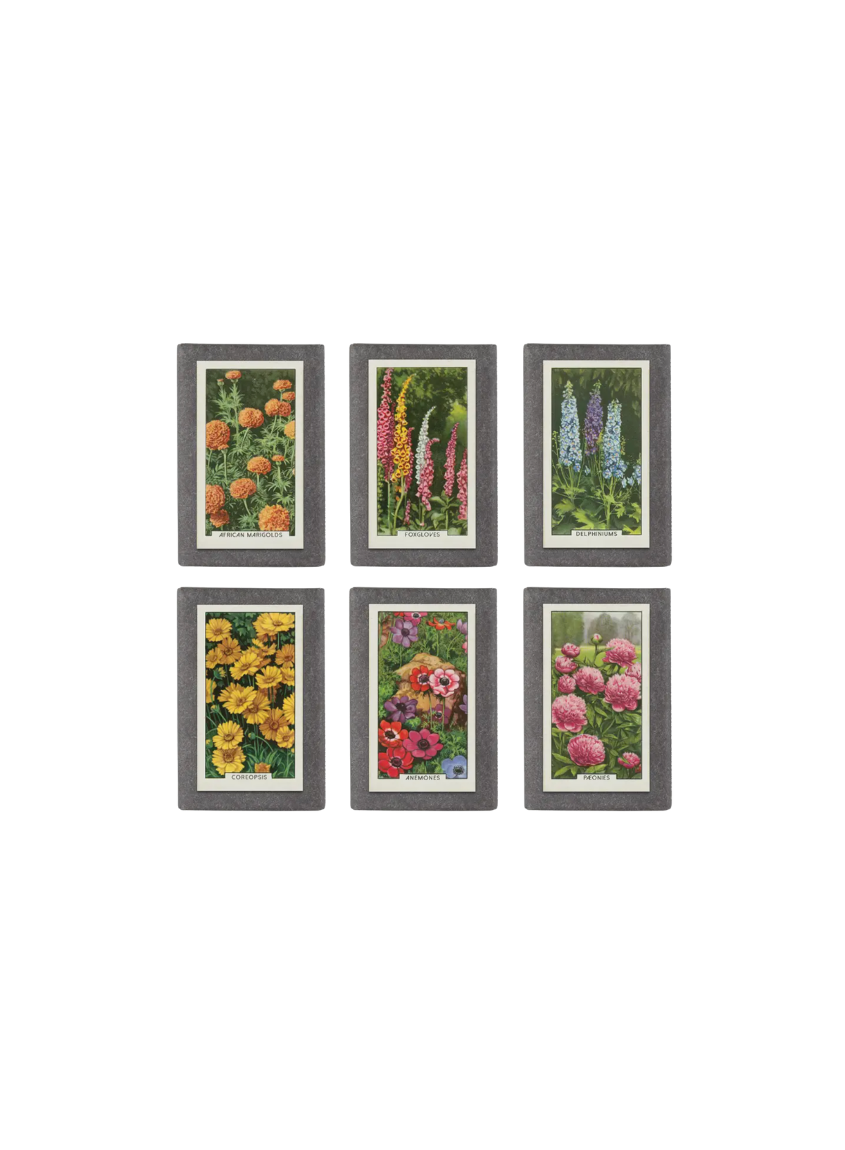 Sting in the Tail Garden Flowers Label Soap