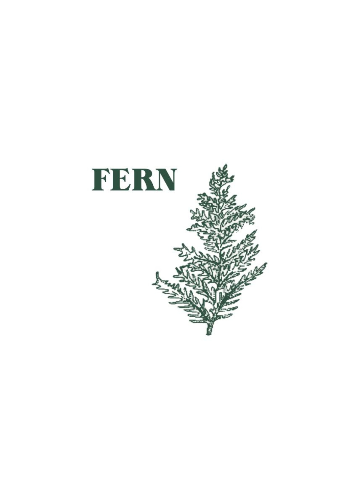 Heaven Scent Green Botanical Pack of 10 Incense Sticks in Fern