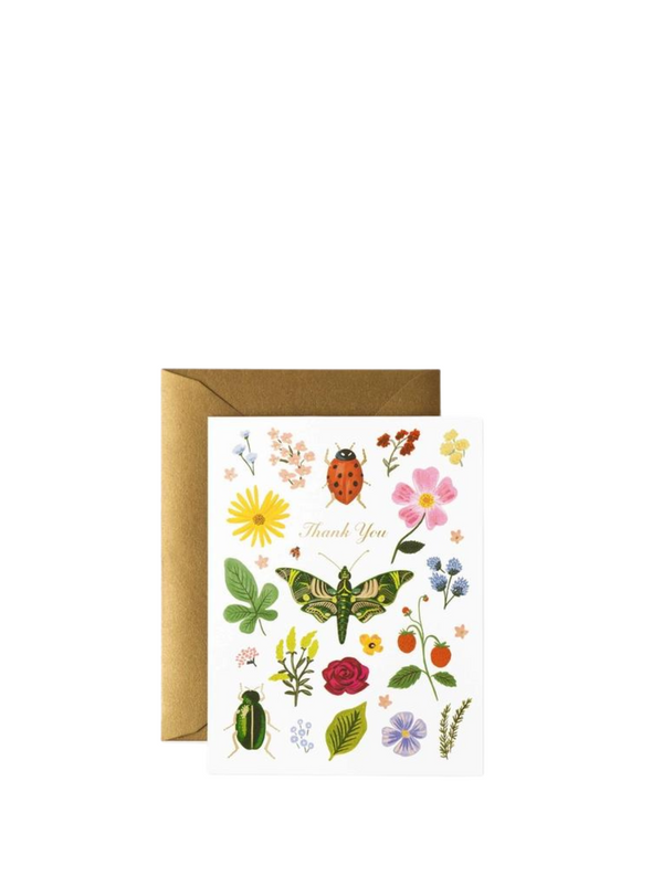 Curio Thank you Card from Rifle Paper Co.