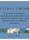 Citrus Crush Demi Vanity Tin Candle 20 hours from Illume