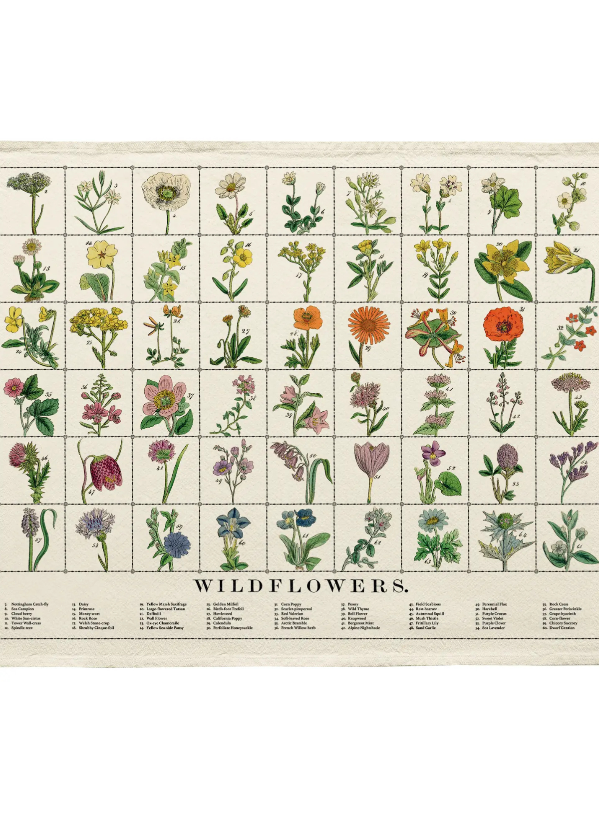 Roomytown Organic Cotton Tea Towel - Wild Flowers