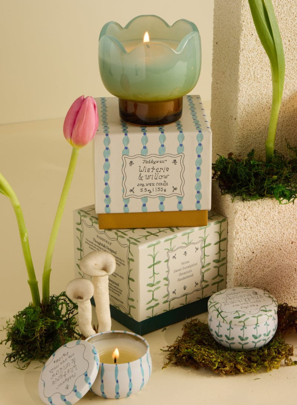 Paddywax Tulip 2oz Printed Tin - Verbena & Lemongrass