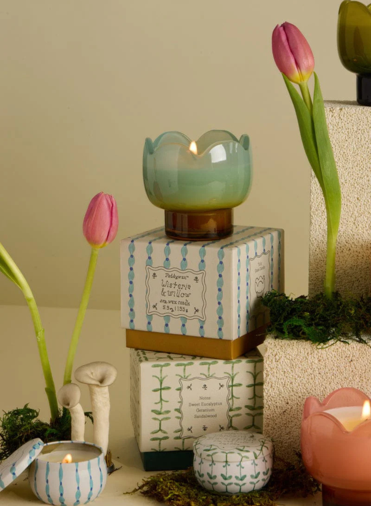 Paddywax Tulip 2oz Printed Tin - Wisteria & Willow