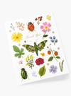 Curio Thank you Card from Rifle Paper Co.