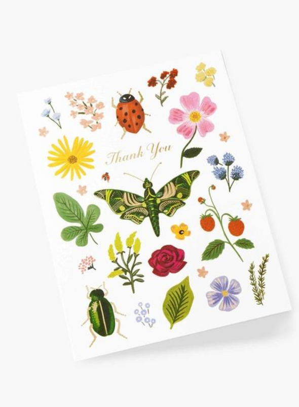 Curio Thank you Card from Rifle Paper Co.