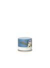 Citrus Crush Demi Vanity Tin Candle 20 hours from Illume