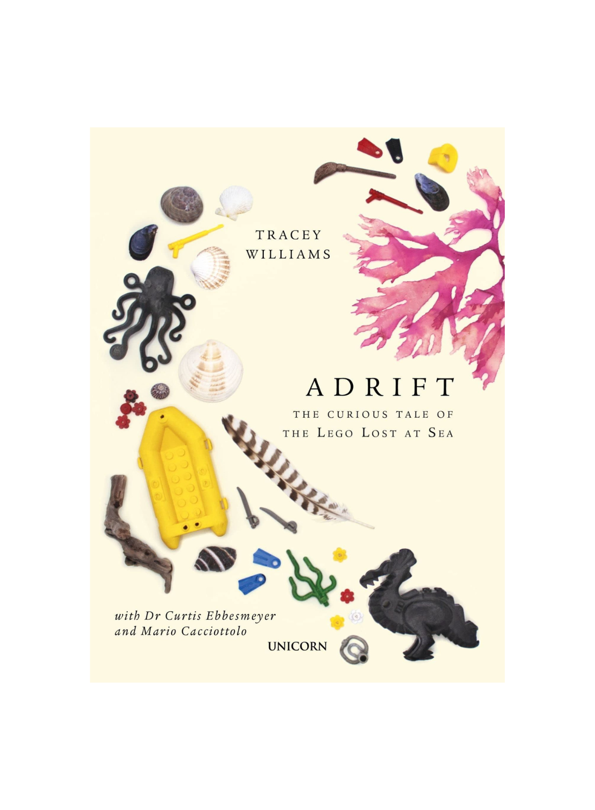 Adrift: The curious tale of the lego lost at sea