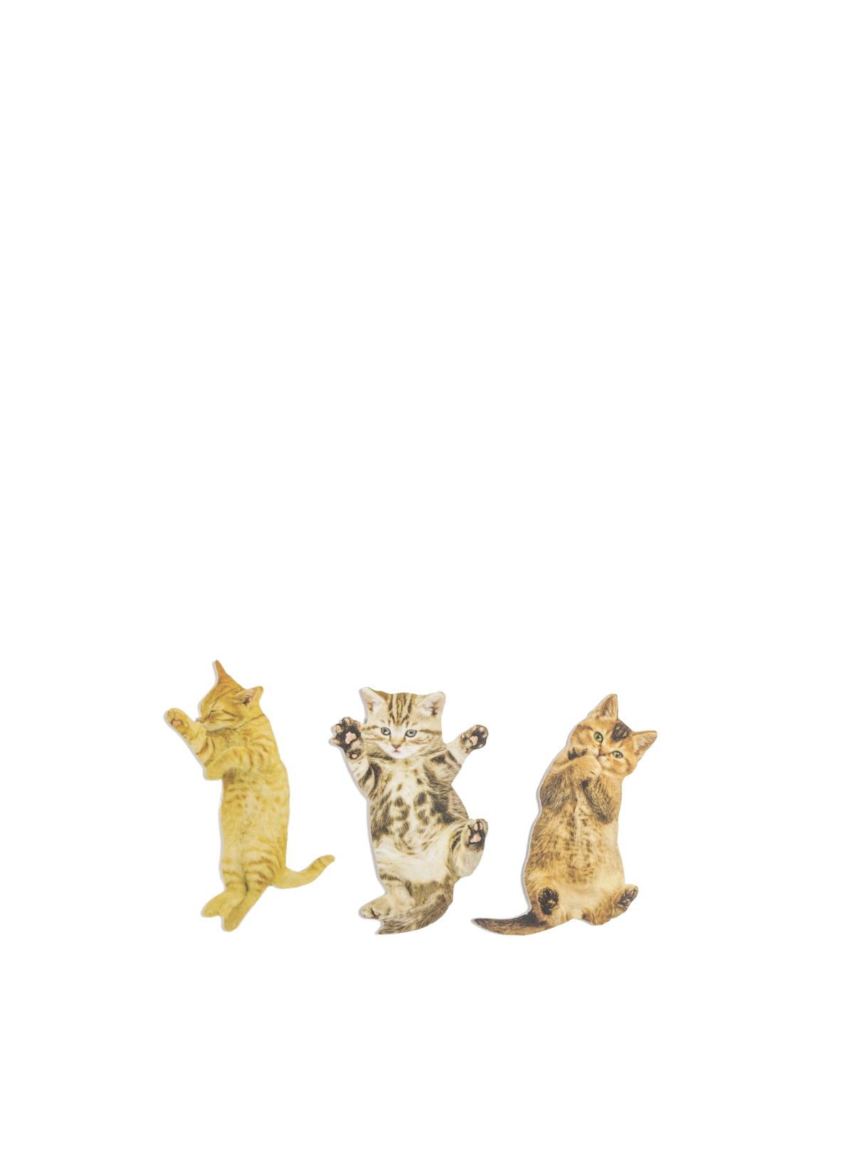 Cat Nail File Keep Your Nails in Purrrfect Condition Nomad and