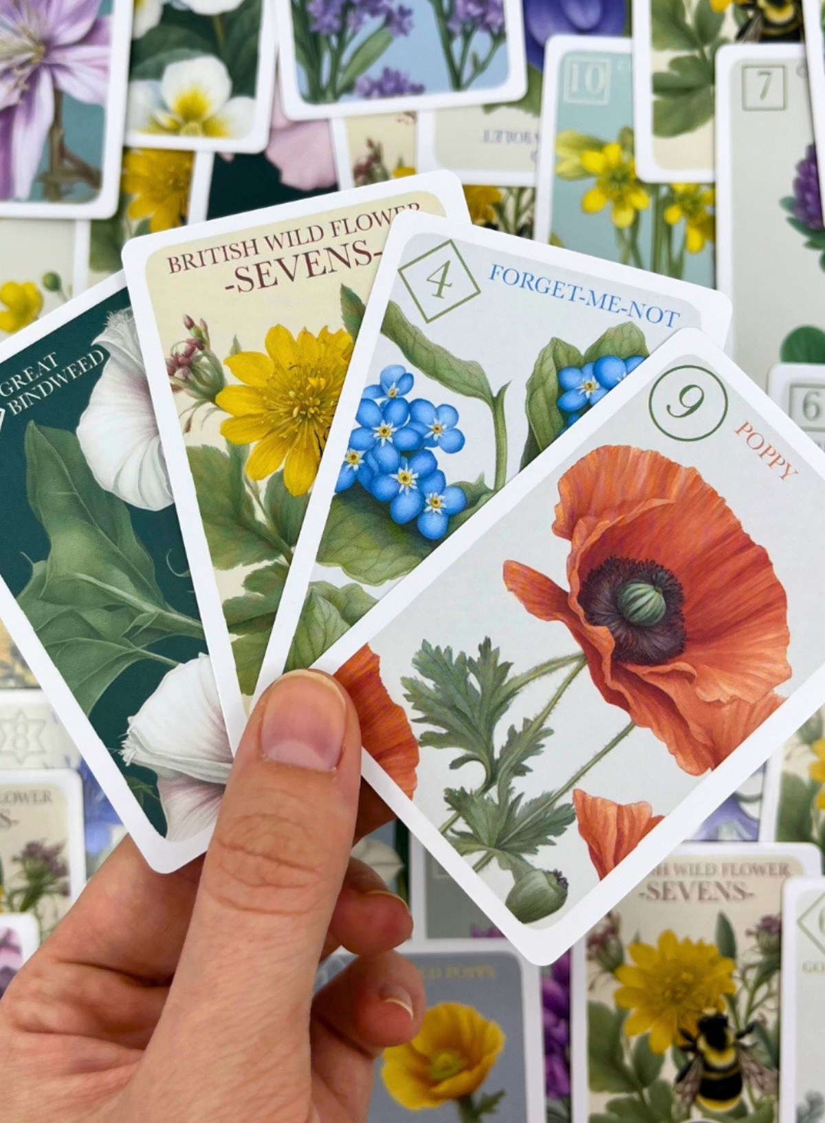 House of Marbles Wild Flower Sevens Card Game