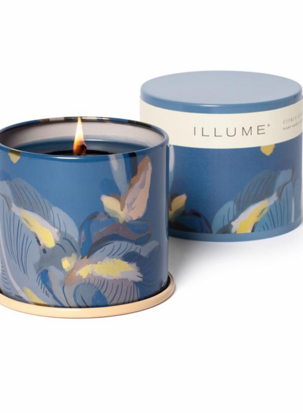 Citrus Crush Demi Vanity Tin Candle 20 hours from Illume