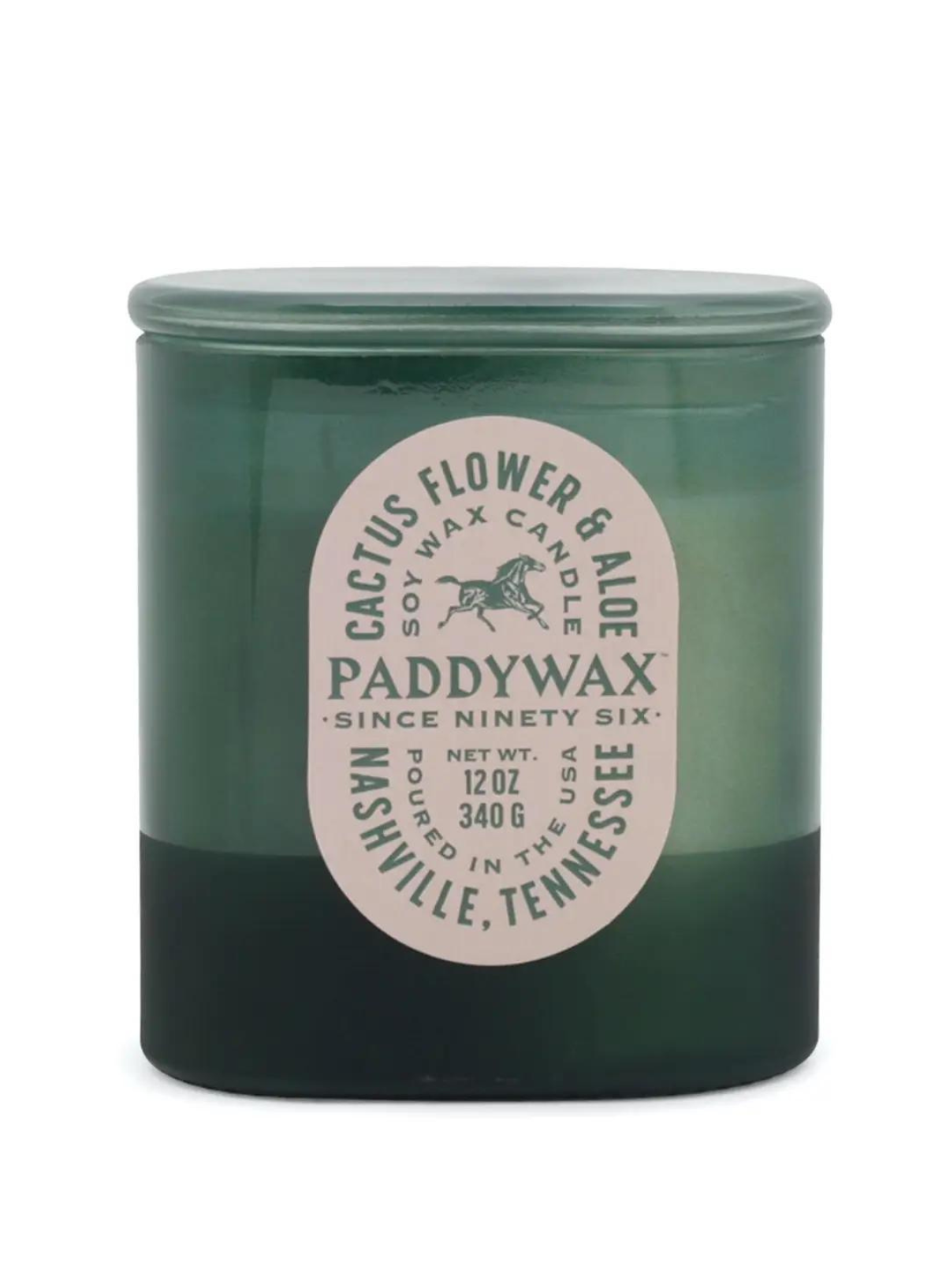 Vista Glass Candle in Cactus Flower & Aloe 12oz from Paddywax