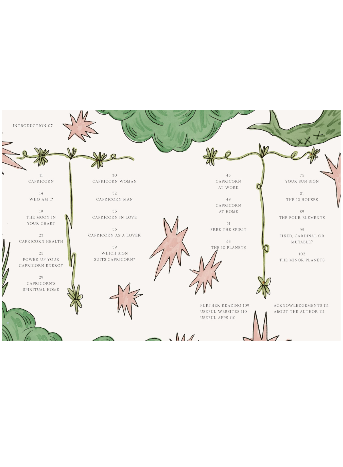 Capricorn (Planet Zodiac)