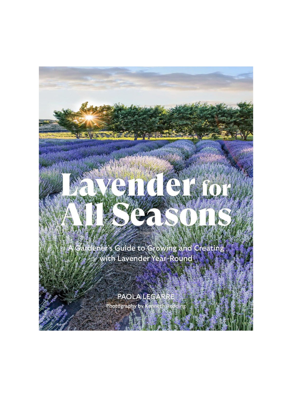 Lavender for all Seasons