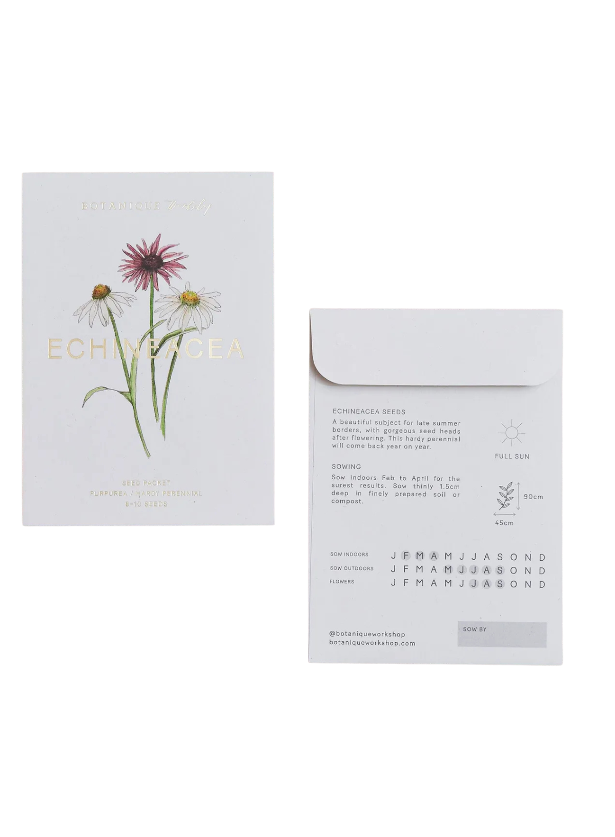 Botanique Workshop Echineacea Purpurea Seed Packet