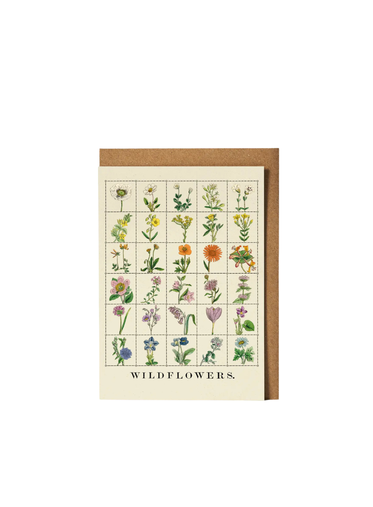 Roomytown Wildflowers Greetings Card