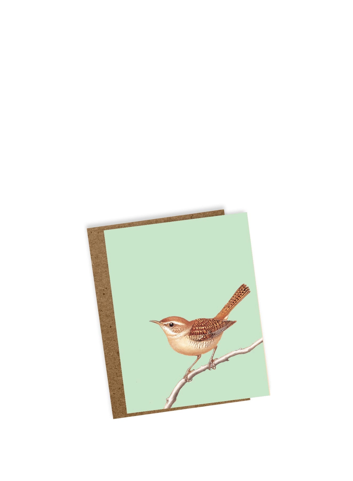 30x40 Wren Mini Card