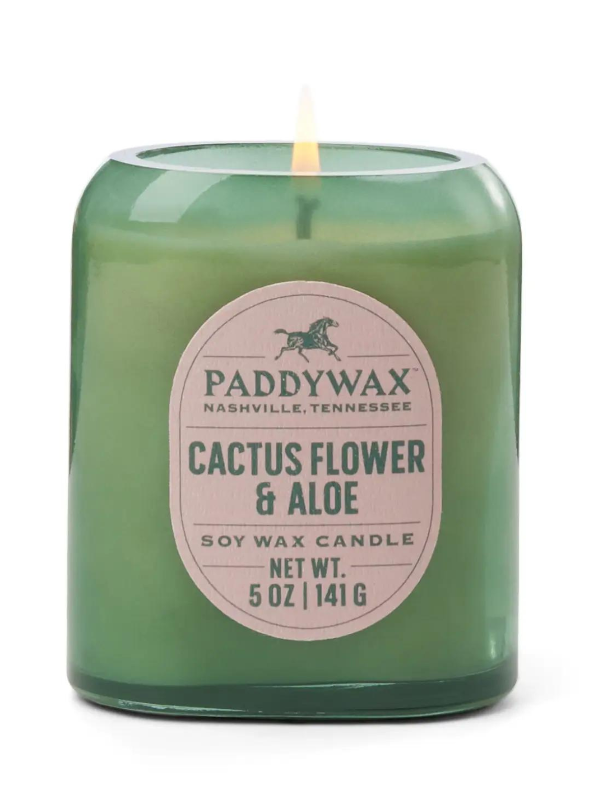 Vista Glass Candle Green in Cactus Flower & Aloe 5oz from Paddywax