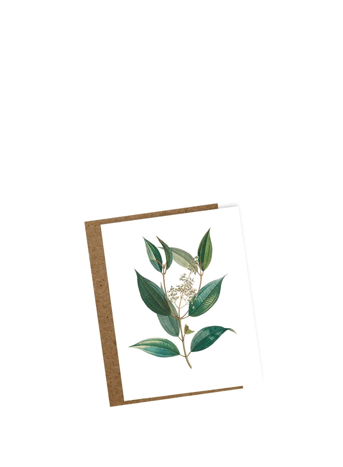 30x40 Spirit Mini Card