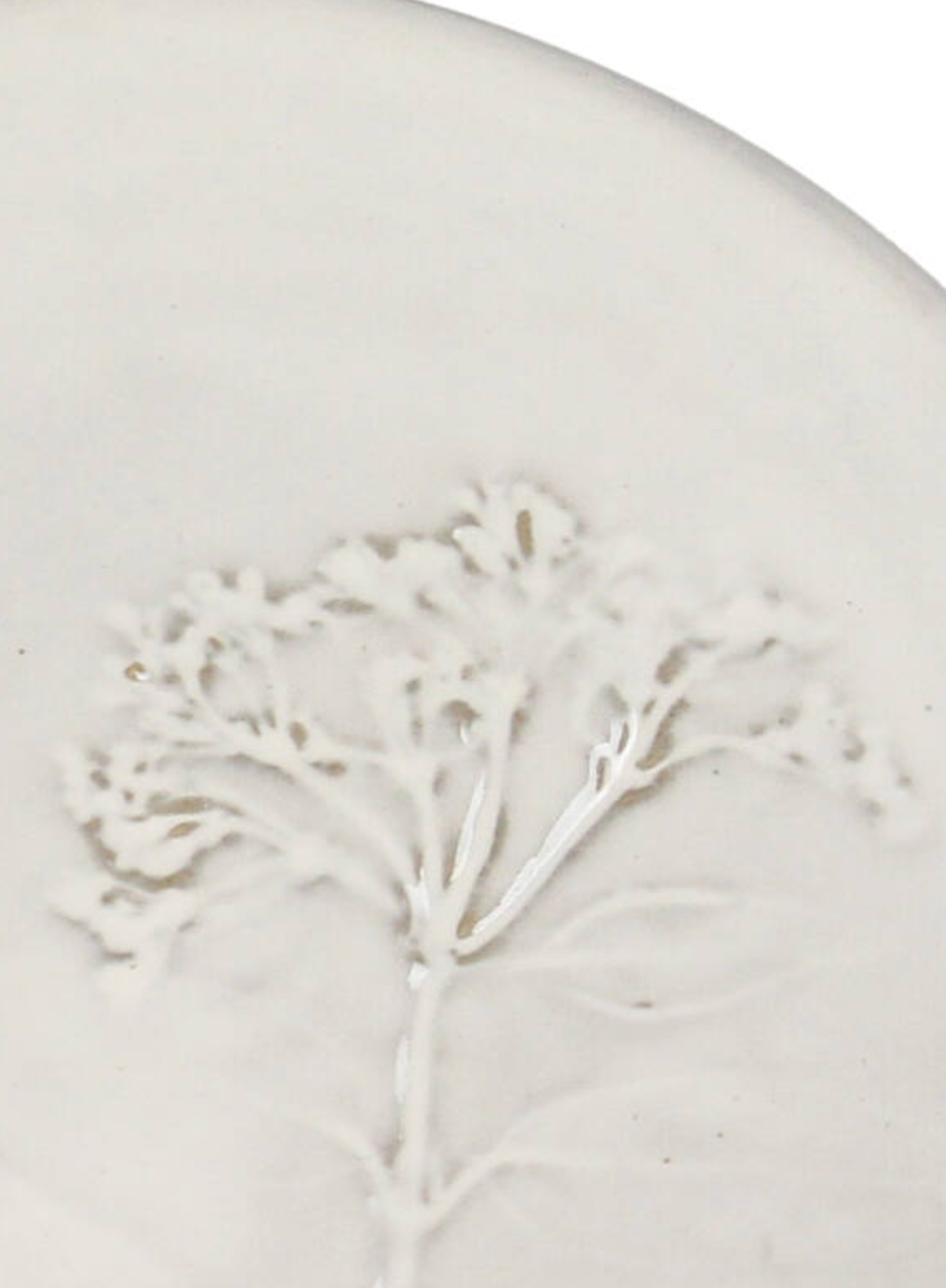 Kersten Field Flower Plate in White 11.5cm