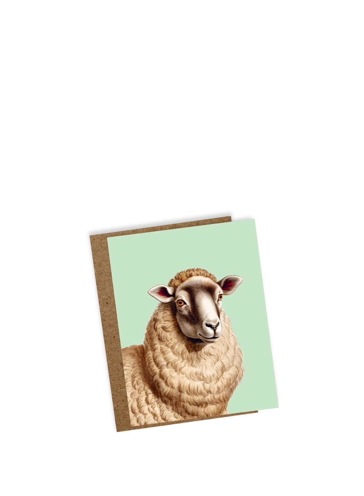 30x40 Maria Mini Card