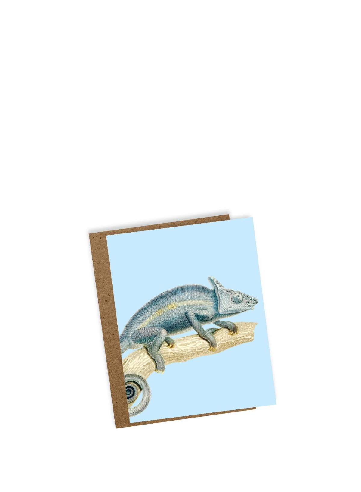 30x40 Karma (Chameleon) Mini Card