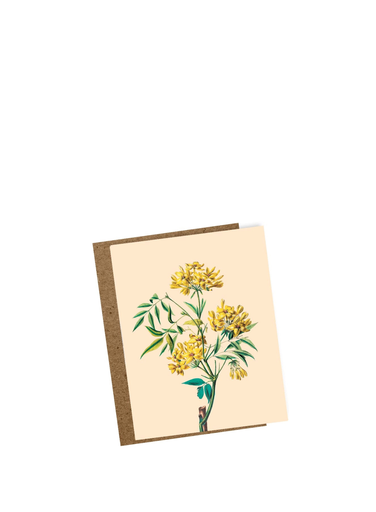 30x40 Klang Mini Card