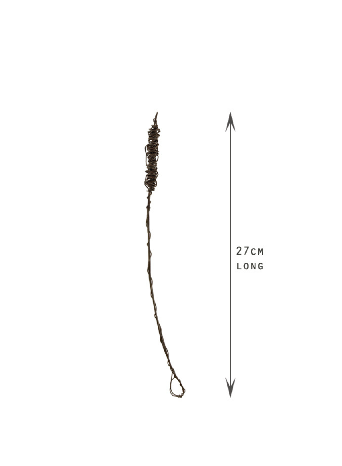 East of India Rusty wire sprig Large Bulrush