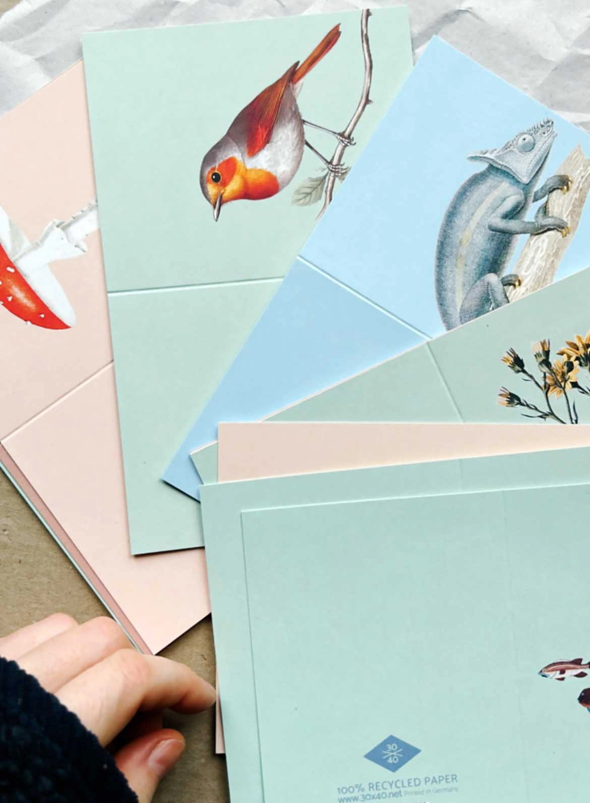 30x40 Fly Agaric Mini Card