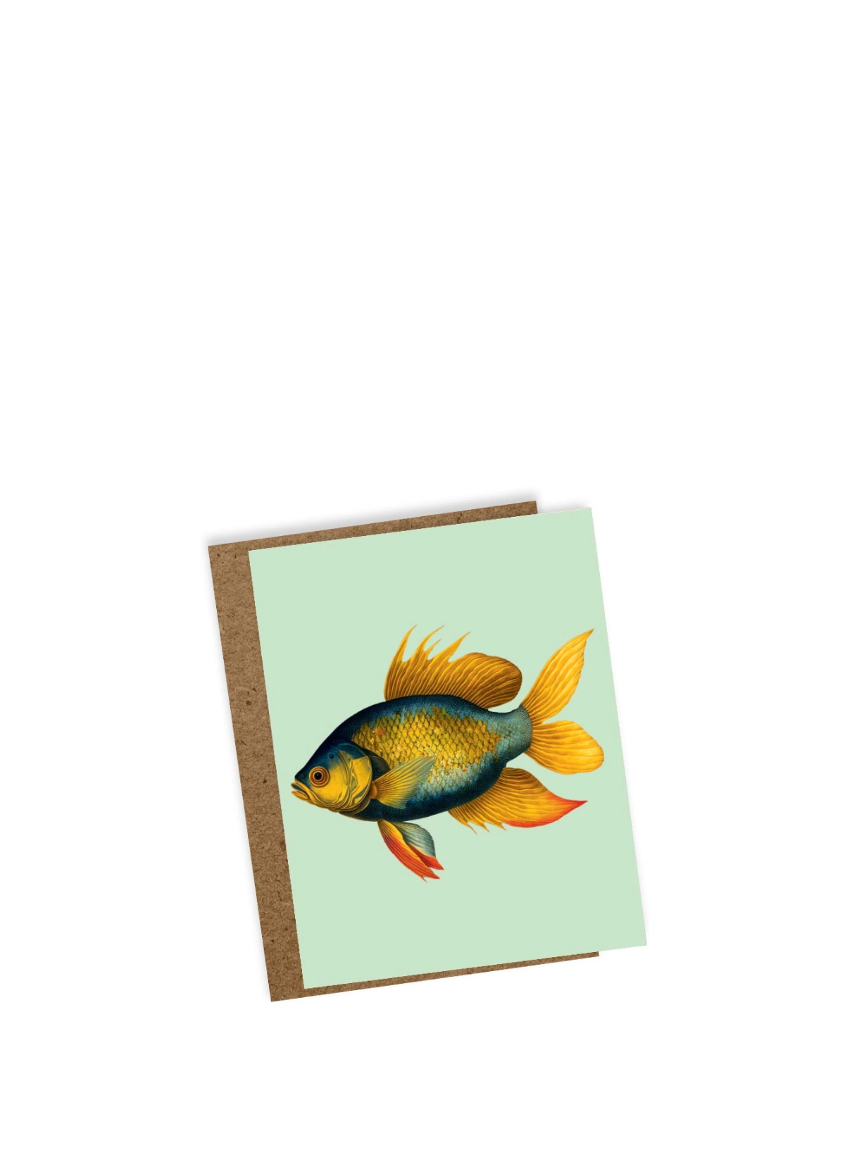 30x40 Goldfish Mini Card