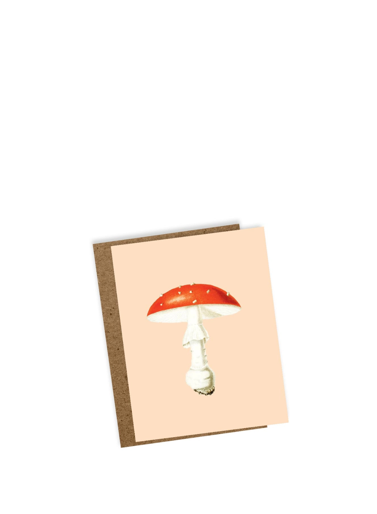 30x40 Fly Agaric Mini Card