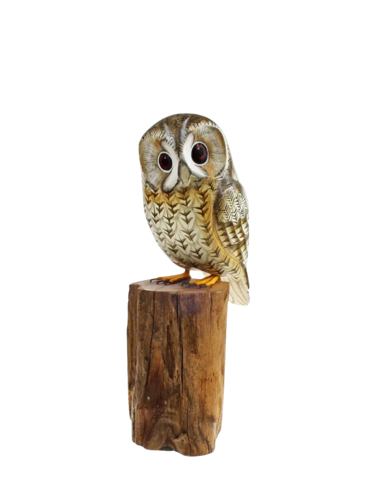Shared Earth Tawny Owl on Tree Trunk 19cm