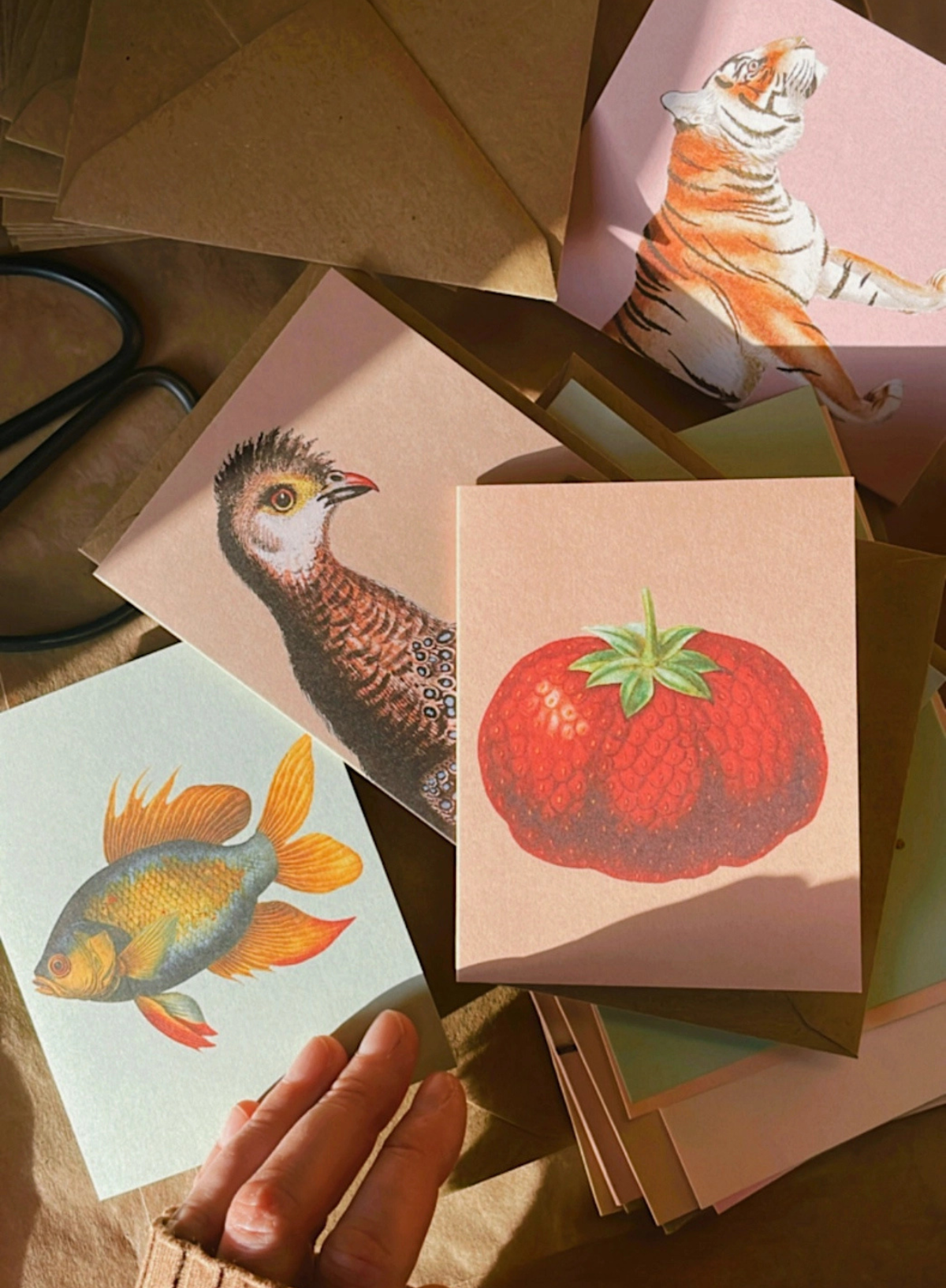 30x40 Goldfish Mini Card