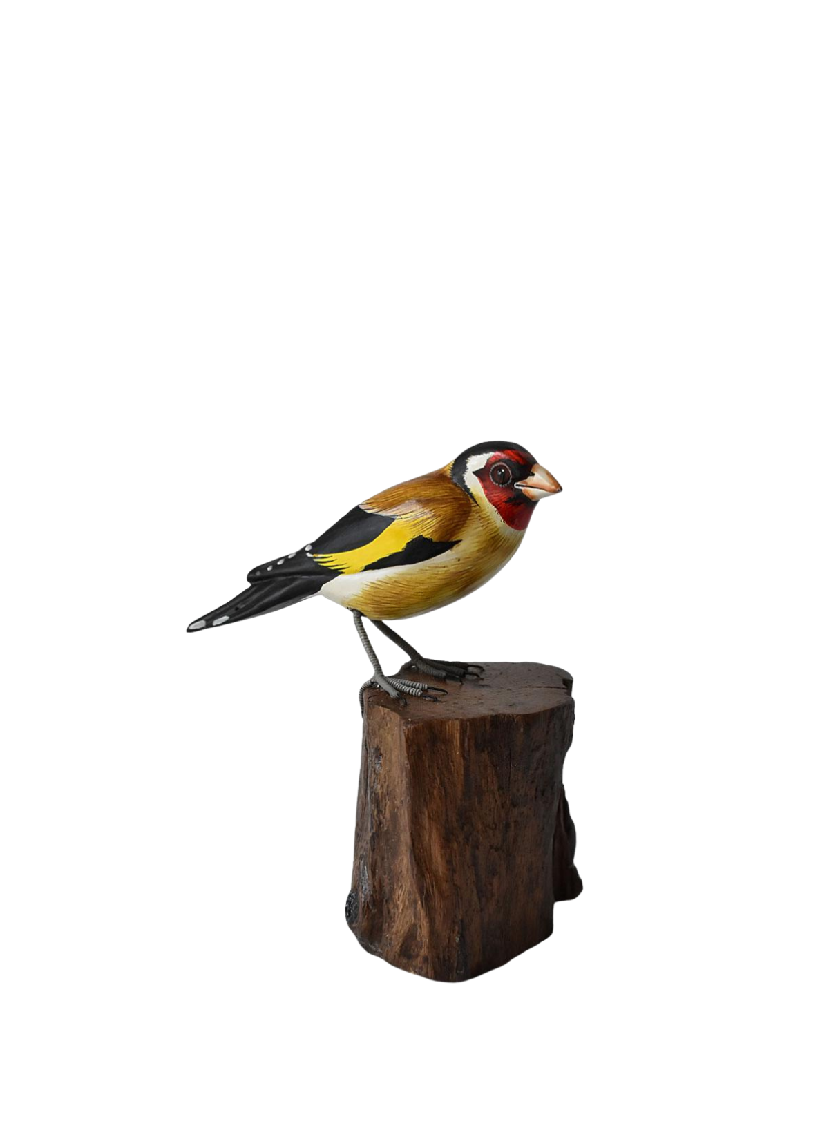Shared Earth Goldfinch on Tree Trunk