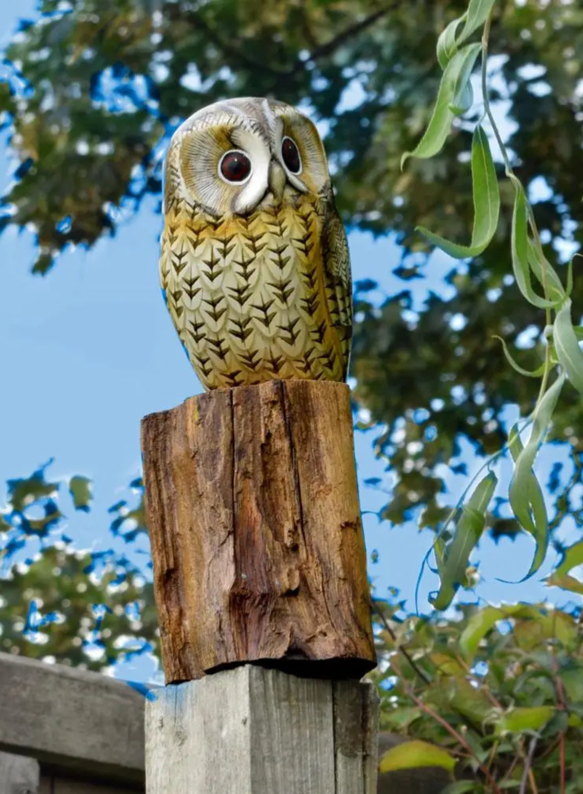 Shared Earth Tawny Owl on Tree Trunk 19cm
