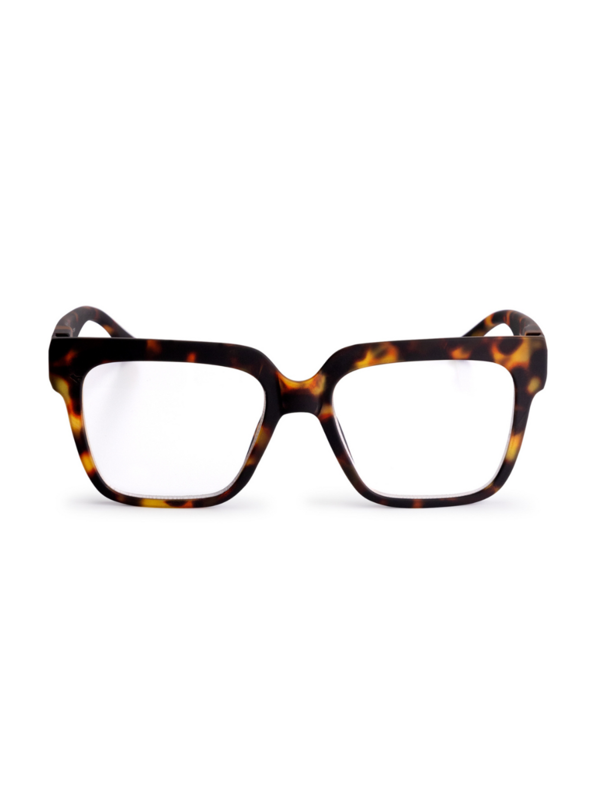 Looplabb Max Reading Glasses in Turtle