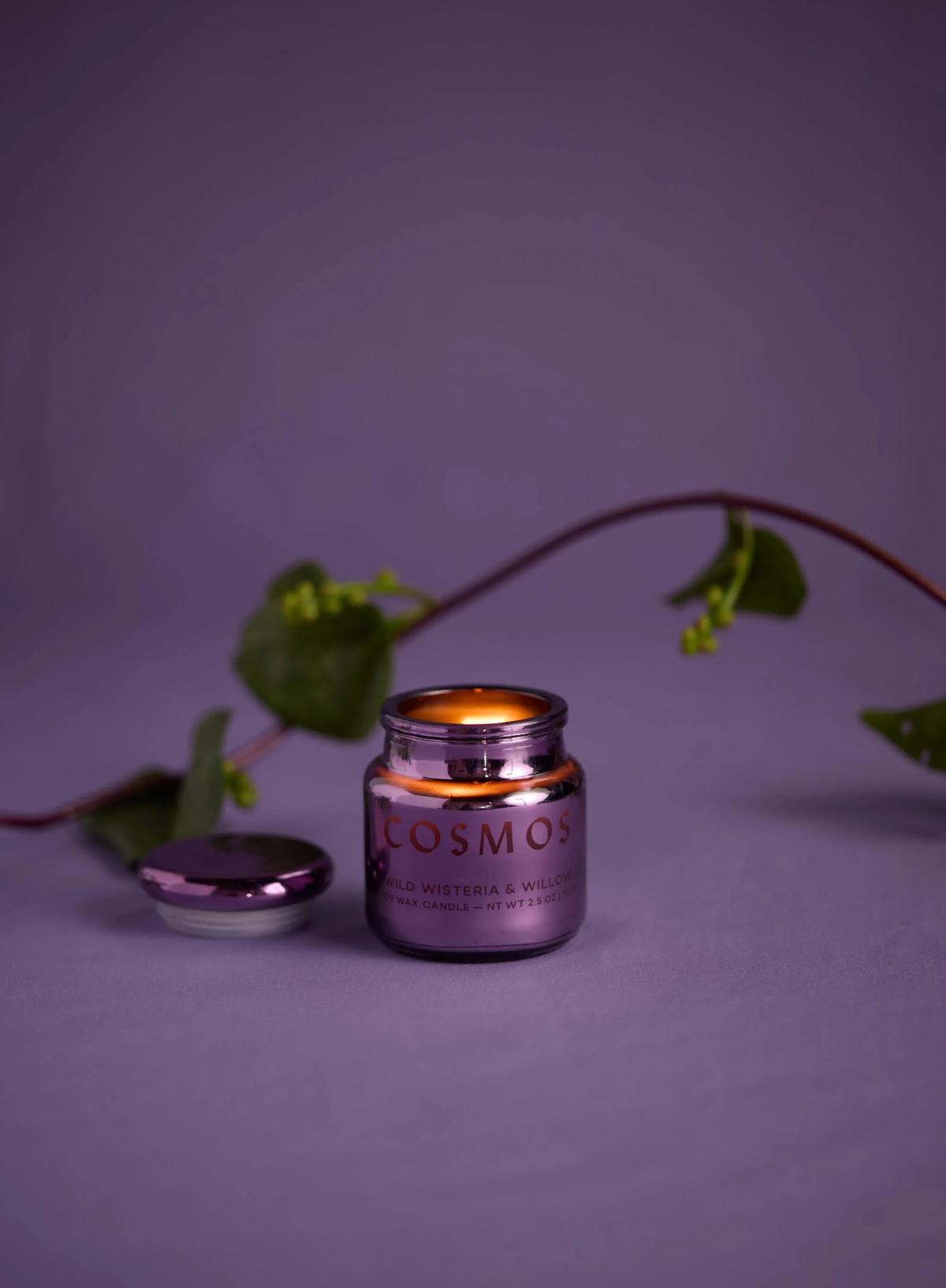Chroma Cosmos Violet Metallic Glass Candle in Wisteria Willow from Paddywax