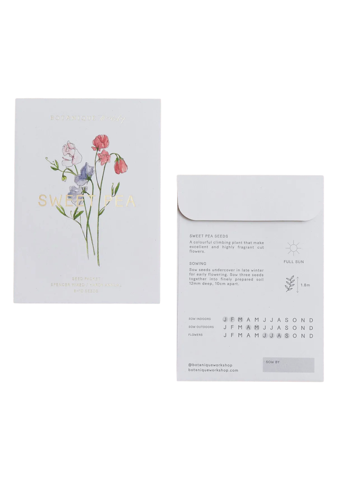 Botanique Workshop Sweet Pea Spencer Mixed Seed Packet