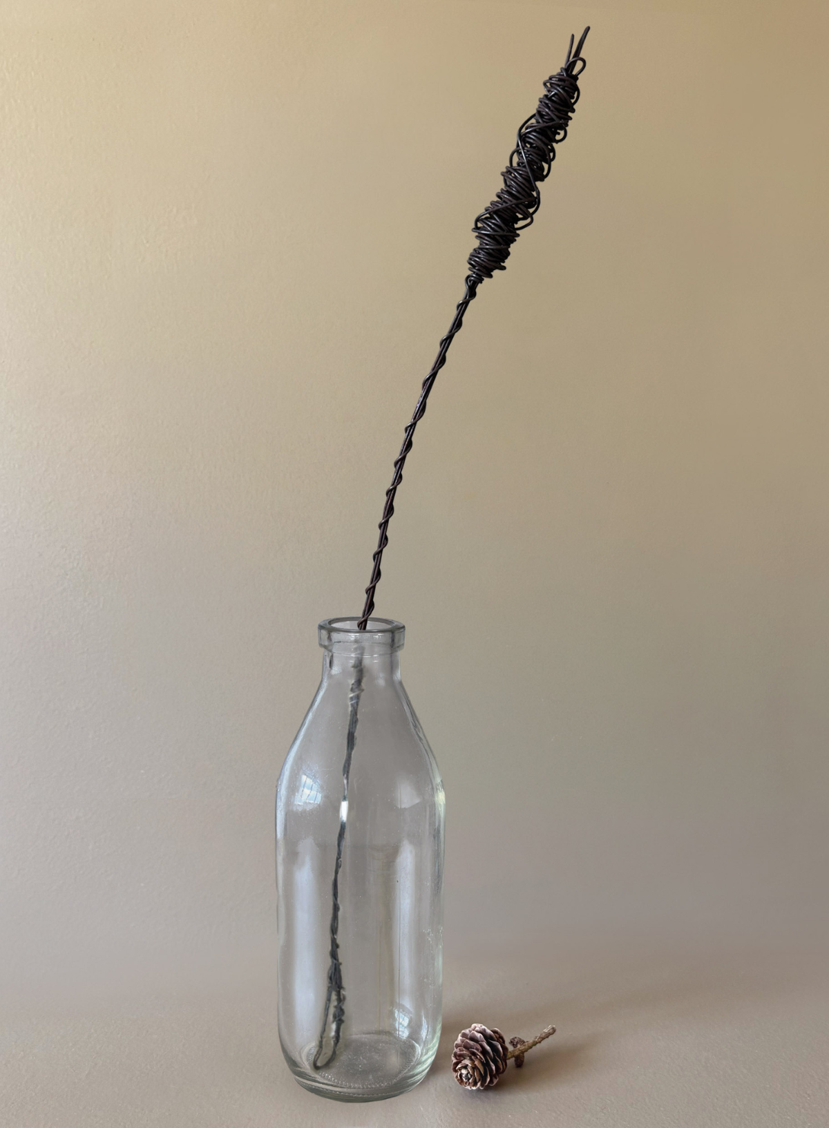 East of India Rusty wire sprig Large Bulrush