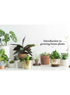 Kew Gardeners Guide to Growing House Plants