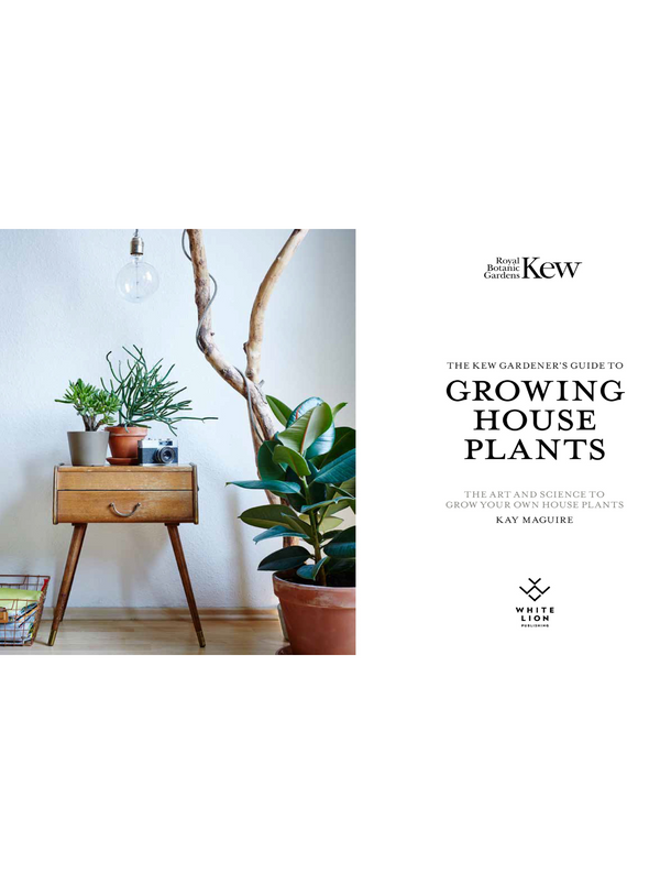 Kew Gardeners Guide to Growing House Plants