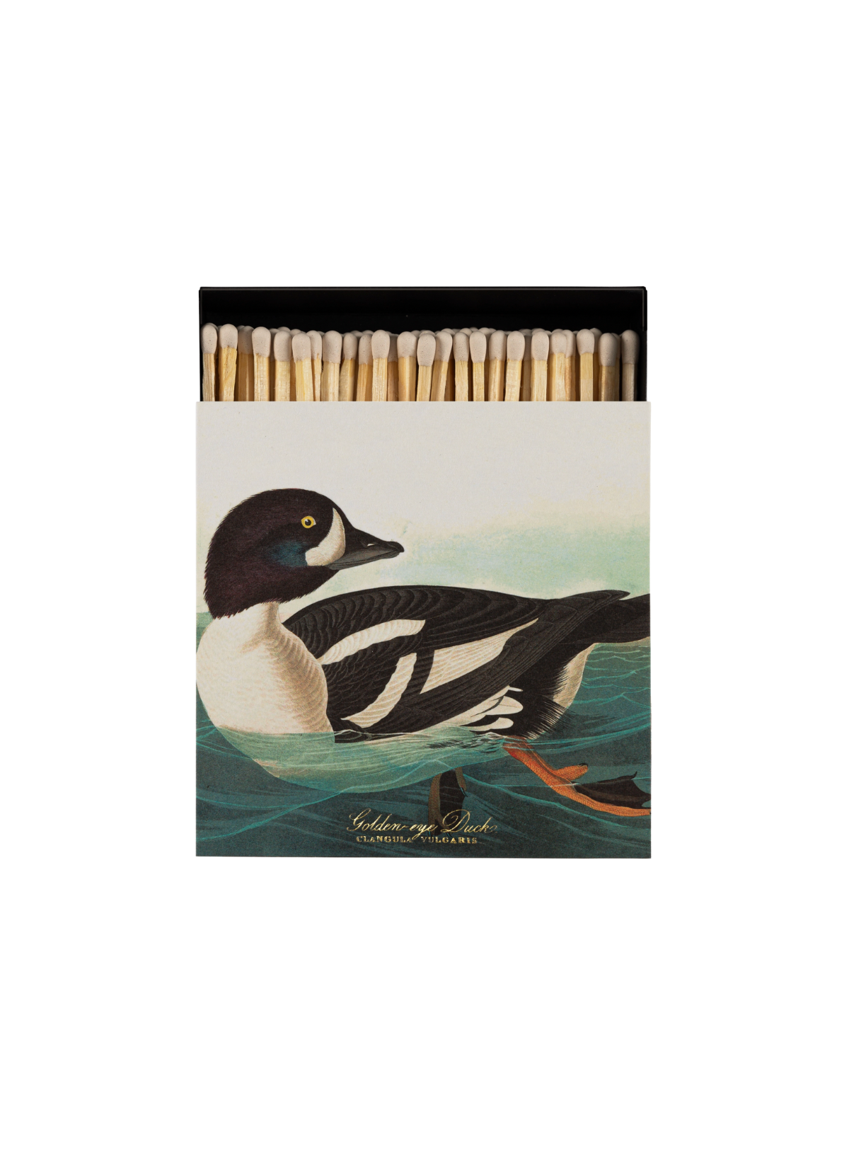 Archivist Golden-Eye Duck Matches