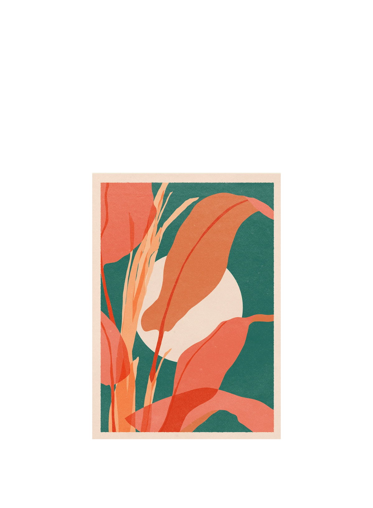 Musa Print A4 from Cai & Jo
