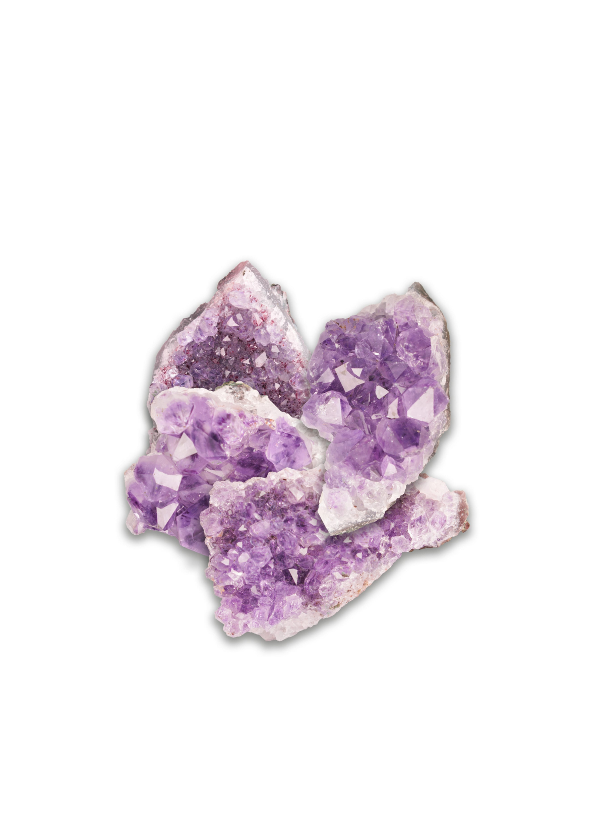 British Fossils Amethyst