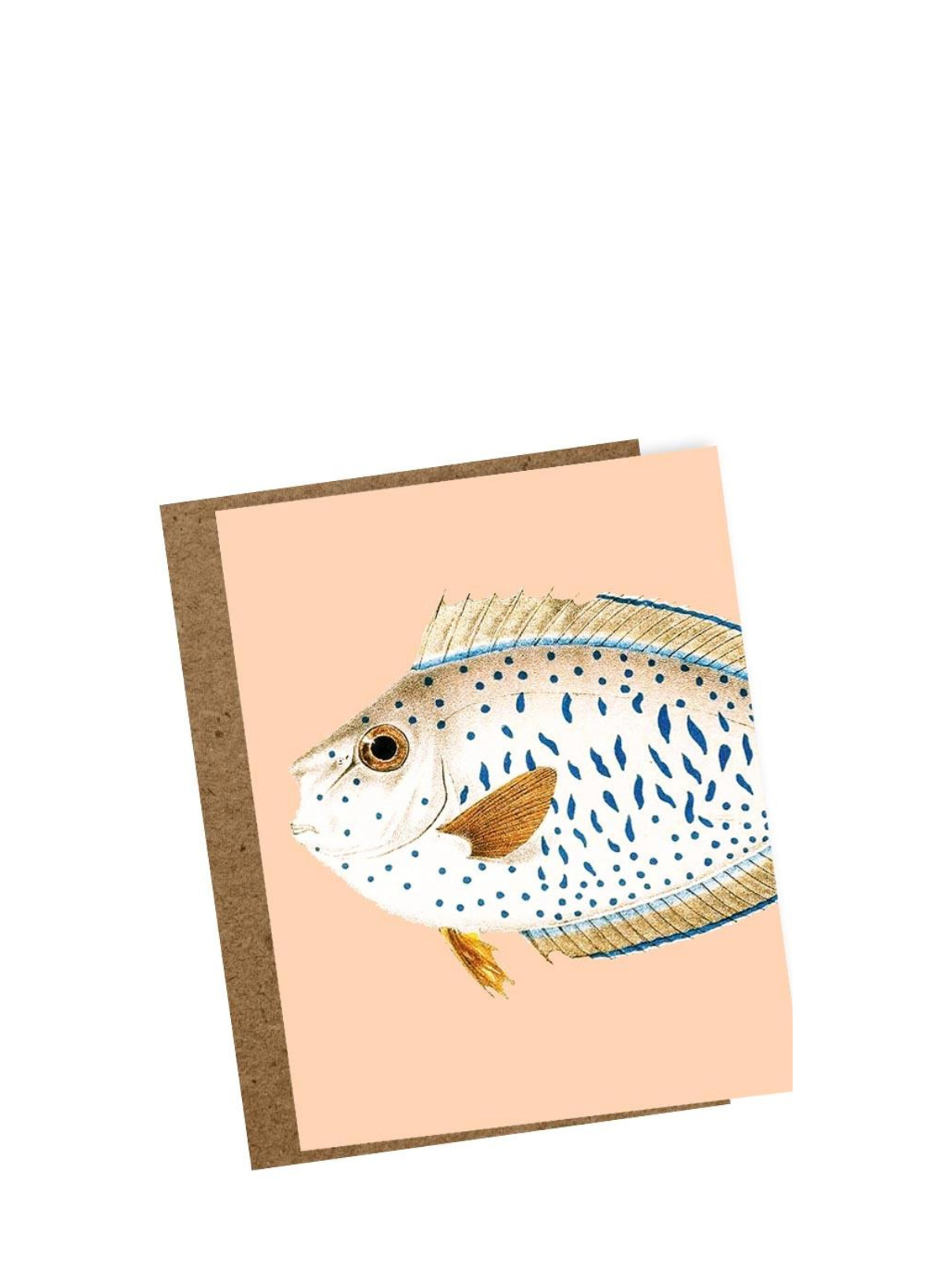 30x40 Wet Look Mini Card