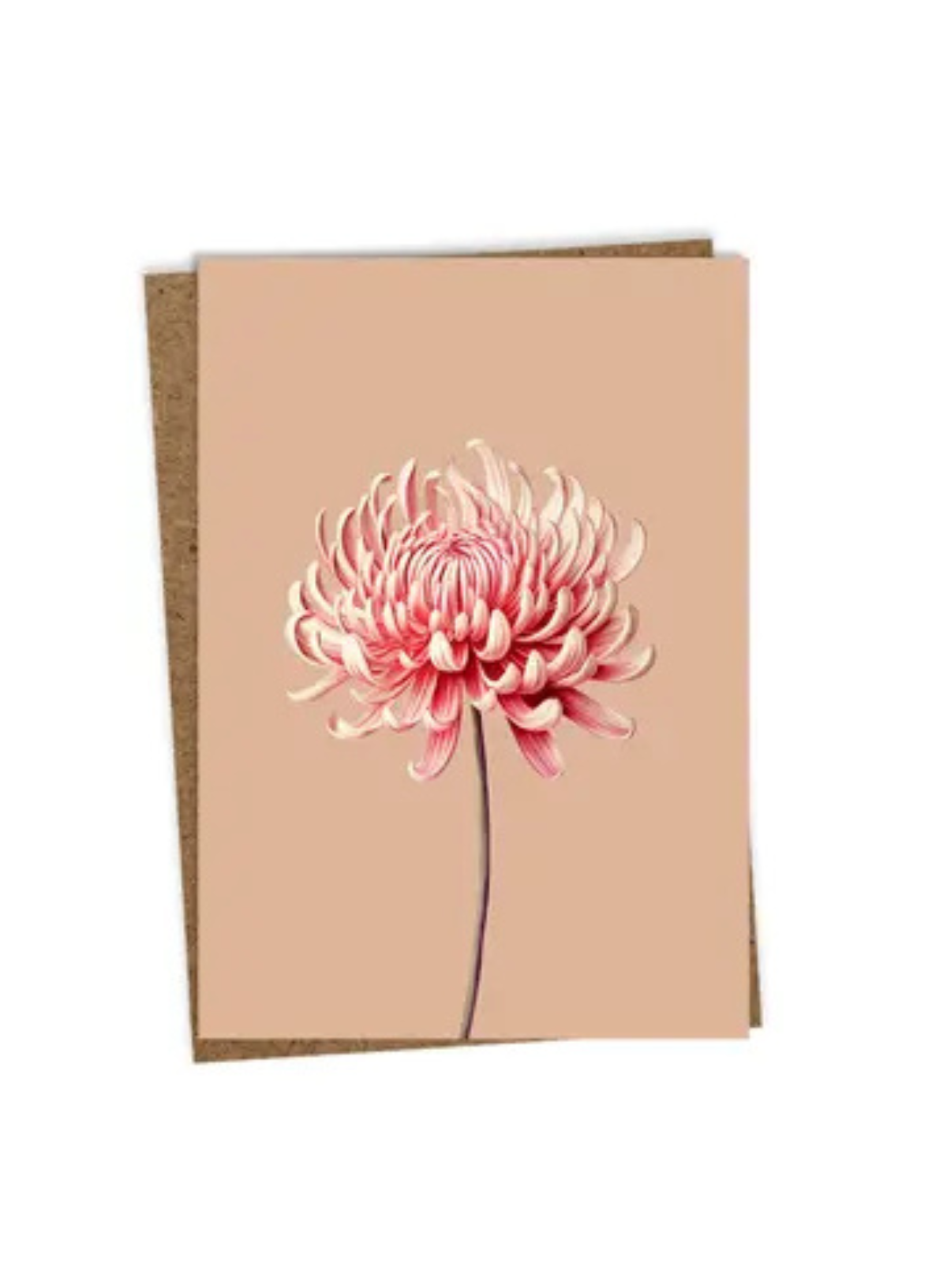 30x40 Chrysanthemum Greeting Card