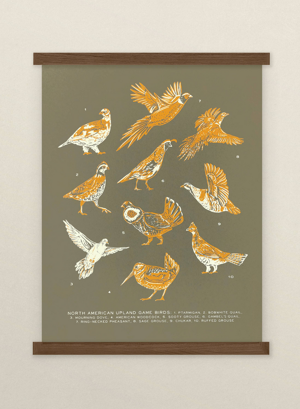 Upland Game Birds Guide Print from The Wild Wander