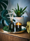 Green Bamboo Reed Diffuser - Cypress Patchouli & Orange from Aery Living