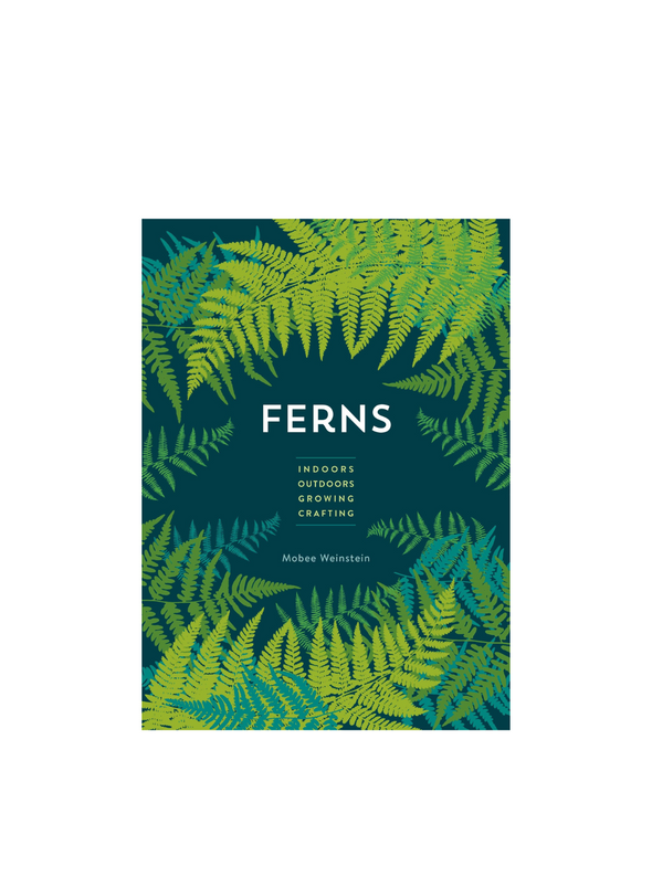 Ferns: Indoors Outdoors Growing Crafting