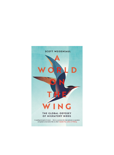 A World on the Wing