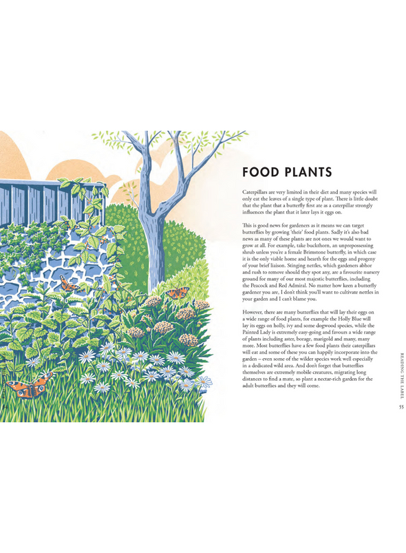 Planting for Butterflies